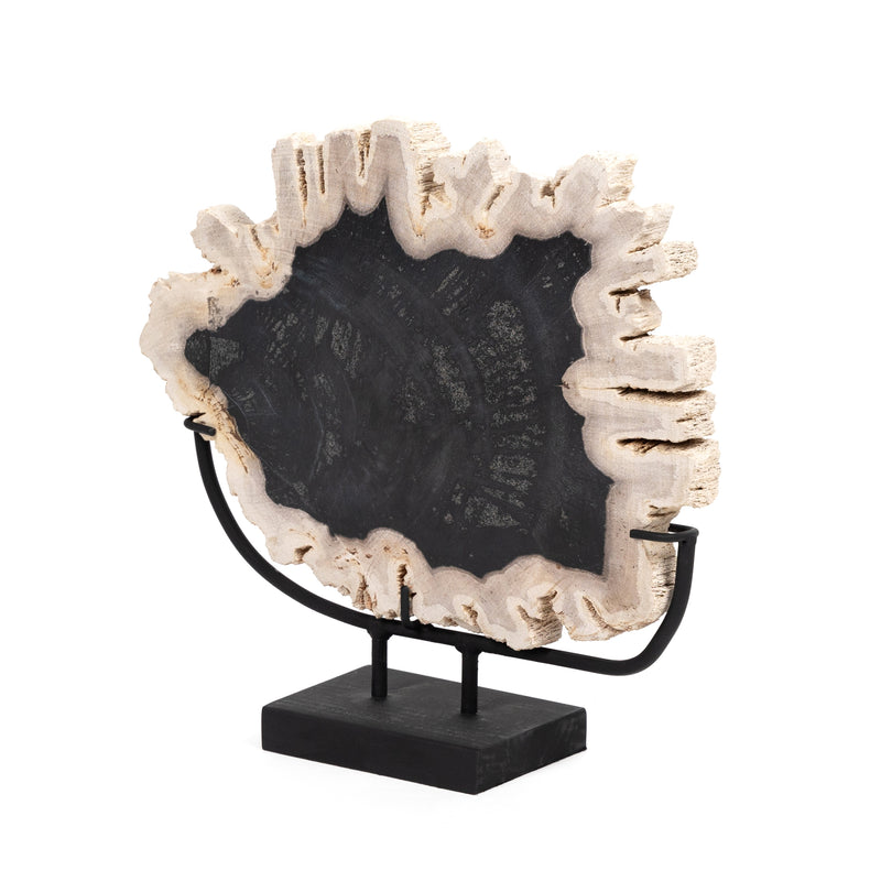 media image for petrified wood sculpture by bd studio 227717 001 1 215