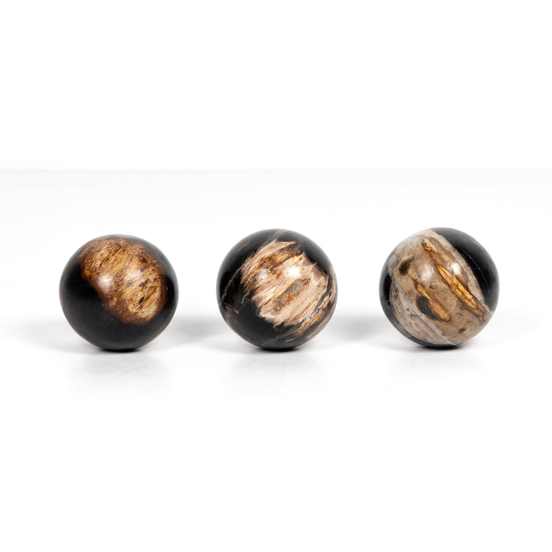 media image for petrified wood balls set 3 by bd studio 227718 001 4 289