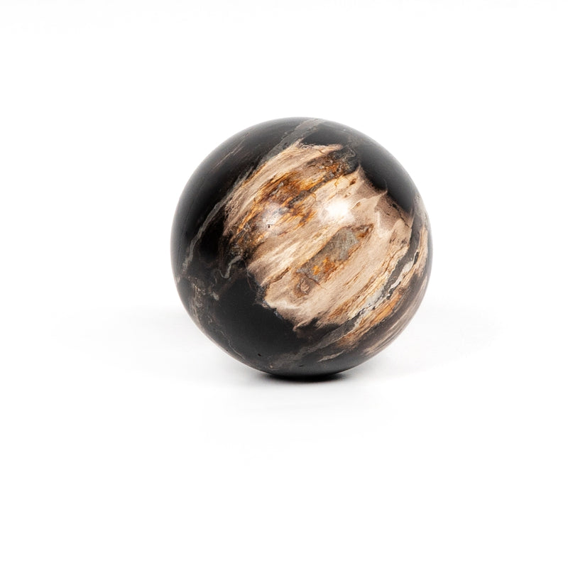media image for petrified wood balls set 3 by bd studio 227718 001 5 289