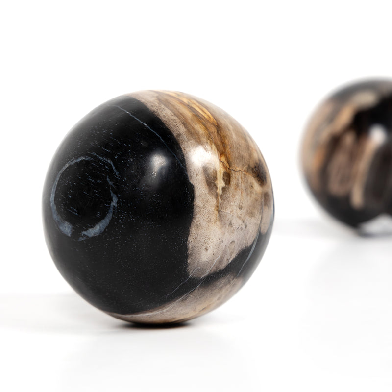 media image for petrified wood balls set 3 by bd studio 227718 001 6 237
