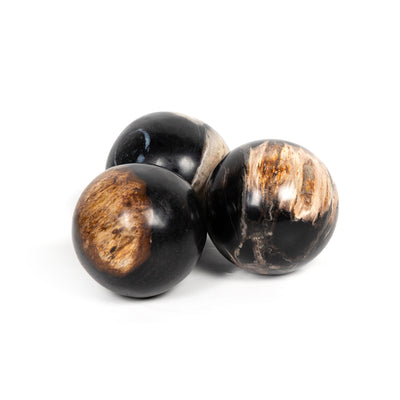 product image of petrified wood balls set 3 by bd studio 227718 001 1 577