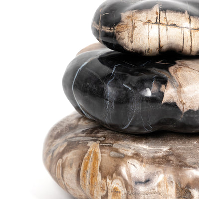 product image for petrified wood organic sculpture by bd studio 227720 001 3 79