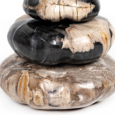 product image for petrified wood organic sculpture by bd studio 227720 001 5 80
