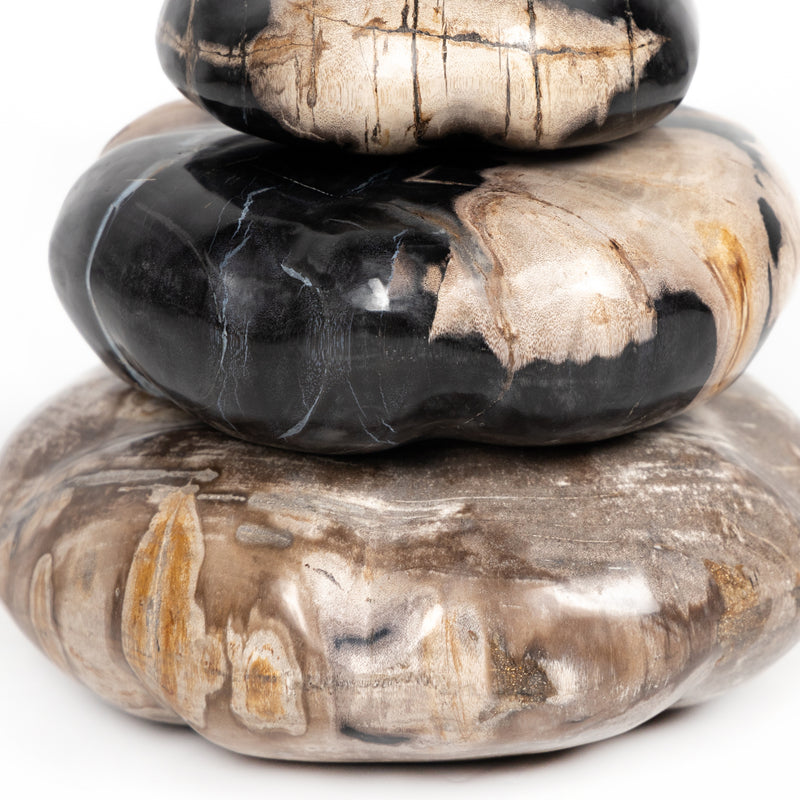 media image for petrified wood organic sculpture by bd studio 227720 001 5 299