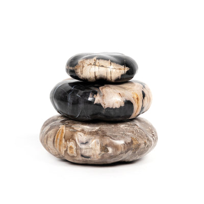 product image of petrified wood organic sculpture by bd studio 227720 001 1 589