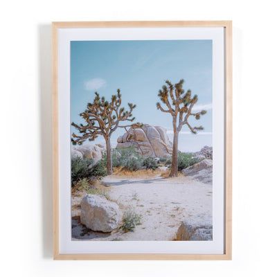 product image for Joshua Tree Iv By Sarah Ellefson 60