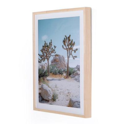 product image for Joshua Tree Iv By Sarah Ellefson 25