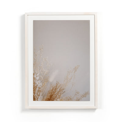 product image for Dried Floral Dyptich by Annie Spratt 52