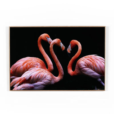 product image for three flamingos by getty images 1 3