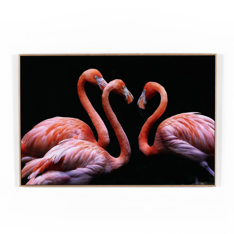 media image for three flamingos by getty images 1 212