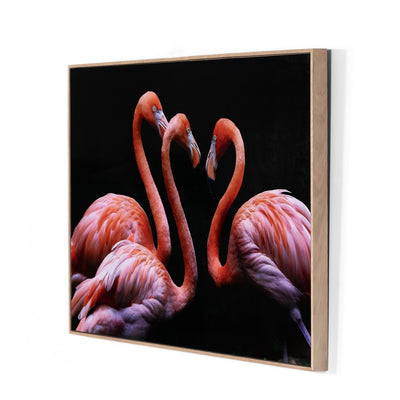 product image for three flamingos by getty images 2 58