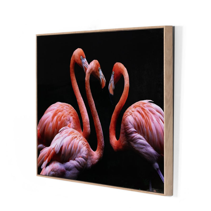 media image for three flamingos by getty images 2 21
