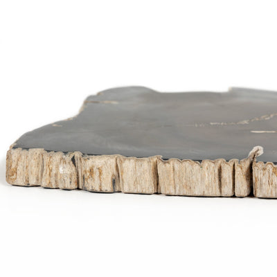 product image for petrified wood slab by bd studio 232006 001 5 77