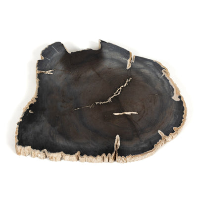 product image for petrified wood slab by bd studio 232006 001 1 89