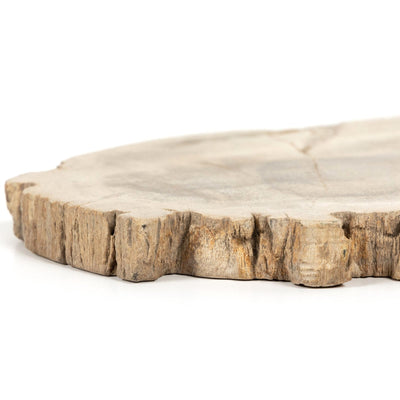 product image for petrified wood slab by bd studio 232006 001 4 91