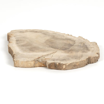 product image for petrified wood slab by bd studio 232006 001 7 60