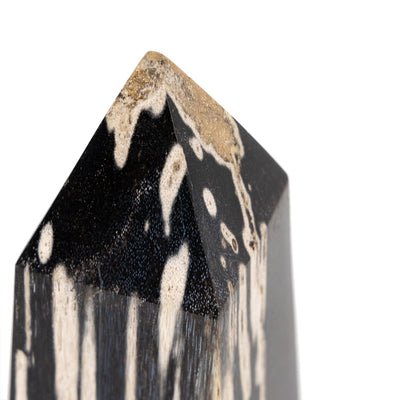 product image for petrified wood obelisk by bd studio 232007 001 3 31