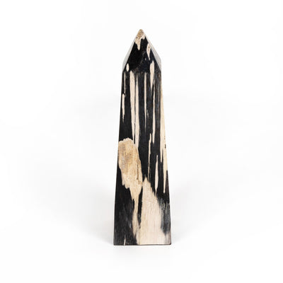 product image for petrified wood obelisk by bd studio 232007 001 1 49