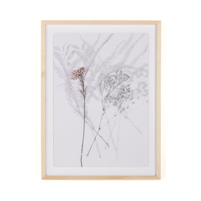 product image of shadow leaves iv by annie spratt 1 585