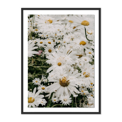 product image of Echinacea by Annie Spratt 1 587