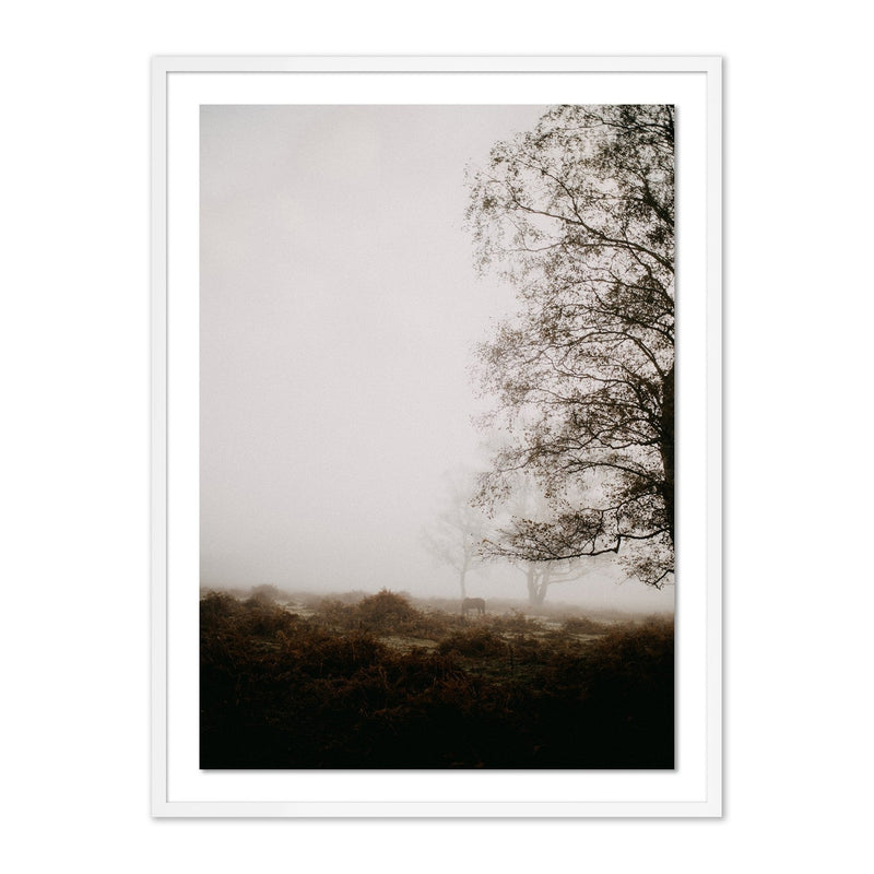 media image for Mist by Annie Spratt 3 256