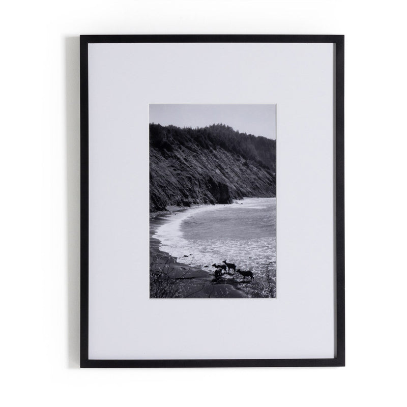 media image for lost coast 4 by gold rush art co by bd studio 238413 001 1 285