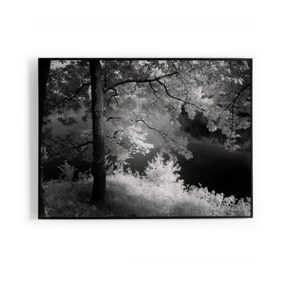 product image of summer light by getty images by bd studio 238420 001 1 595