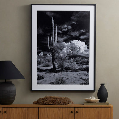 product image for sonoran desert by getty images by bd studio 238451 001 6 11