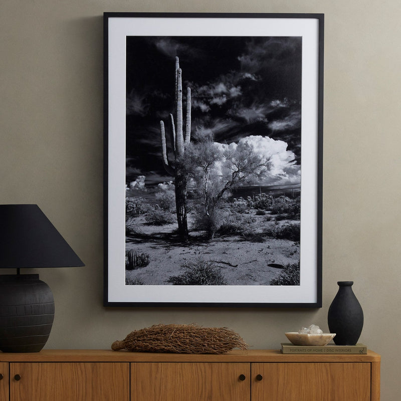 media image for sonoran desert by getty images by bd studio 238451 001 6 285
