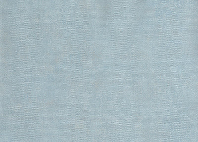 product image of Unito Airone Wallpaper in Soft Blue Pearl 567