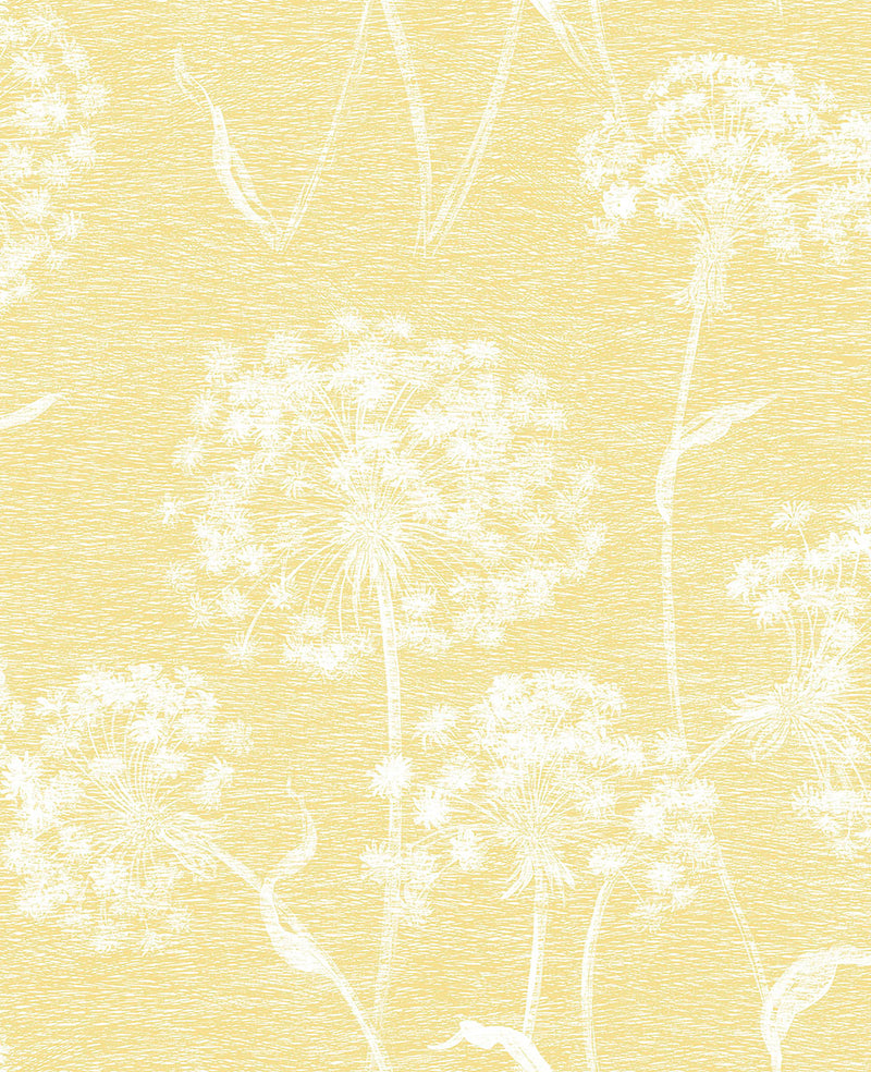 media image for Carolyn Yellow Dandelion Wallpaper from the Nature by Advantage Collection by Brewster Home Fashions 235