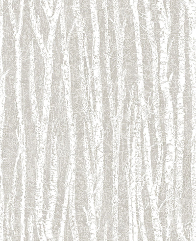 product image of Toyon Taupe Birch Tree Wallpaper from the Nature by Advantage Collection by Brewster Home Fashions 564