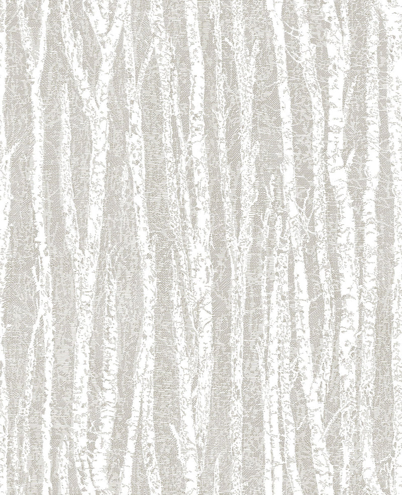 media image for Toyon Taupe Birch Tree Wallpaper from the Nature by Advantage Collection by Brewster Home Fashions 283