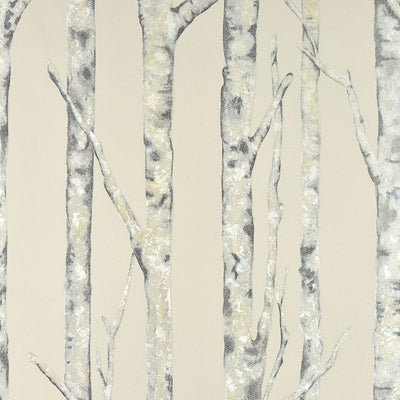product image for Cameron Cream Trees Wallpaper from the Nature by Advantage Collection by Brewster Home Fashions 65