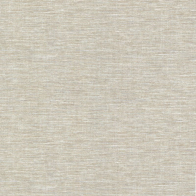 product image of Cogon Taupe Distressed Texture Wallpaper from the Warner XI Collection by Brewster Home Fashions 57