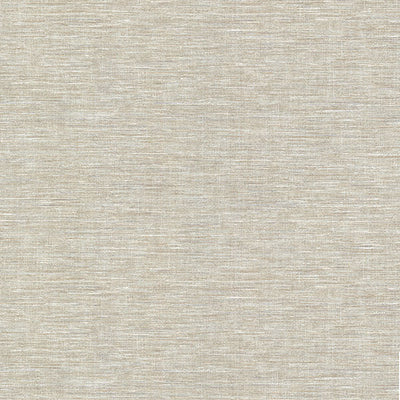 product image of Cogon Taupe Distressed Texture Wallpaper from the Warner XI Collection by Brewster Home Fashions 585