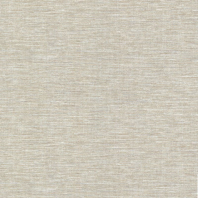 product image for Cogon Taupe Distressed Texture Wallpaper from the Warner XI Collection by Brewster Home Fashions 97