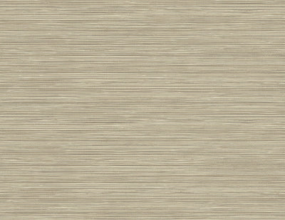 product image of sample bondi beige grasscloth texture wallpaper from the warner xi collection by brewster home fashions 1 529