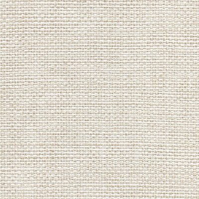 product image of Caviar Platinum Basketweave Wallpaper from the Warner XI Collection by Brewster Home Fashions 533