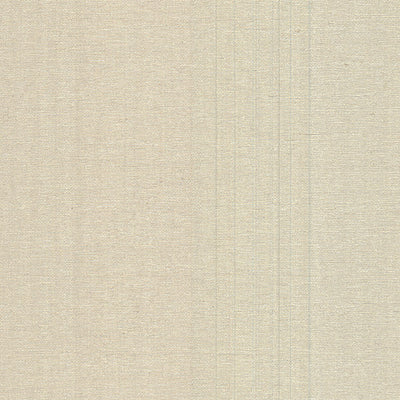 product image of Aspero Champagne Faux Grasscloth Wallpaper from the Warner XI Collection by Brewster Home Fashions 570