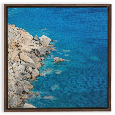 product image for menagerie framed canvas 5 13