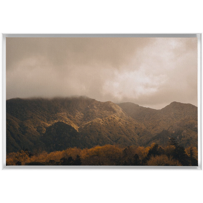 product image for furnas canvas 21 82
