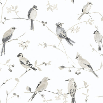 product image for Birdsong Grey Trail Wallpaper from the Thoreau Collection by Brewster 31