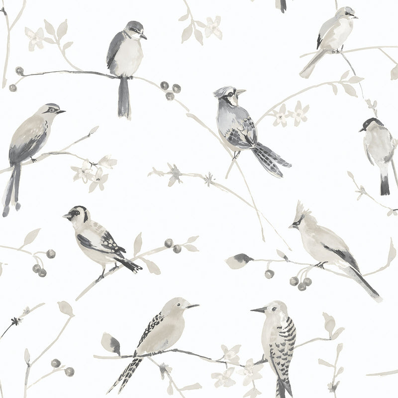 media image for Birdsong Grey Trail Wallpaper from the Thoreau Collection by Brewster 244