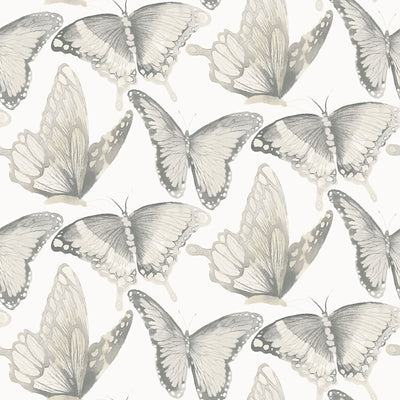 product image for Janetta Grey Butterfly Wallpaper from the Thoreau Collection by Brewster 89