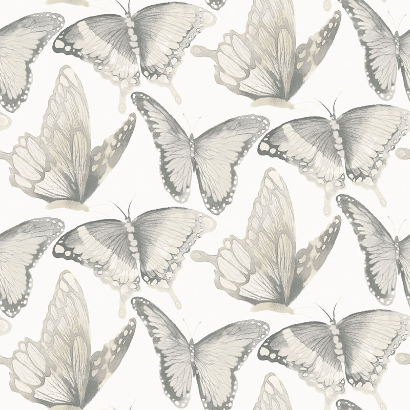 media image for Janetta Grey Butterfly Wallpaper from the Thoreau Collection by Brewster 297