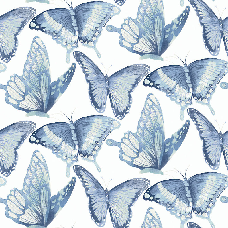 media image for Janetta Blue Butterfly Wallpaper from the Thoreau Collection by Brewster 280