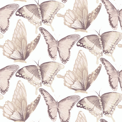 product image for Janetta Blush Butterfly Wallpaper from the Thoreau Collection by Brewster 35