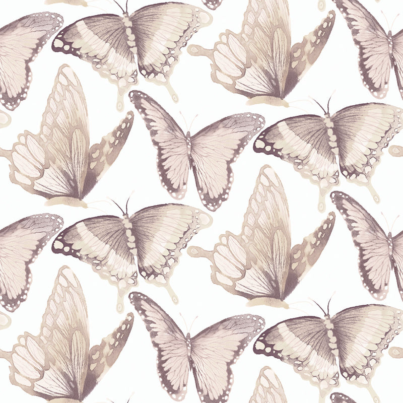 media image for Janetta Blush Butterfly Wallpaper from the Thoreau Collection by Brewster 253
