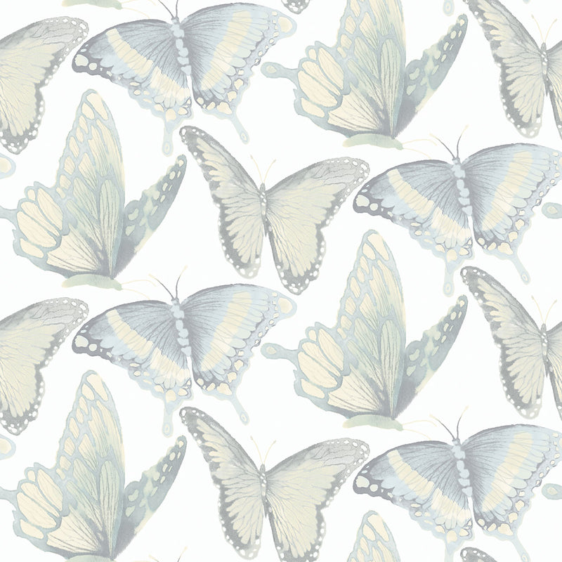 media image for Janetta Mint Butterfly Wallpaper from the Thoreau Collection by Brewster 240